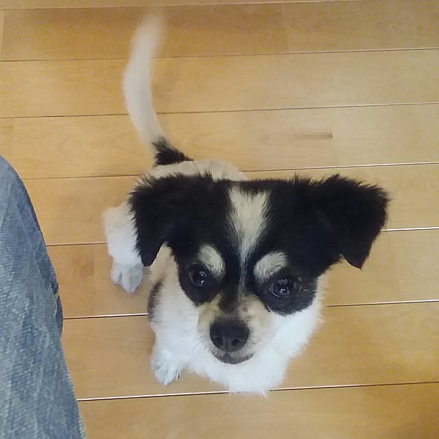 yukkoさんの実例写真
