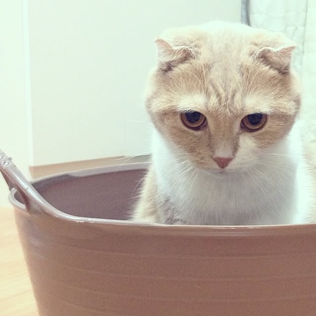 runtenさんの実例写真