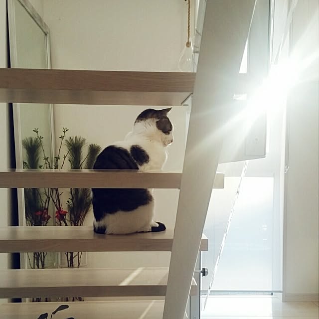 runayucoさんの実例写真