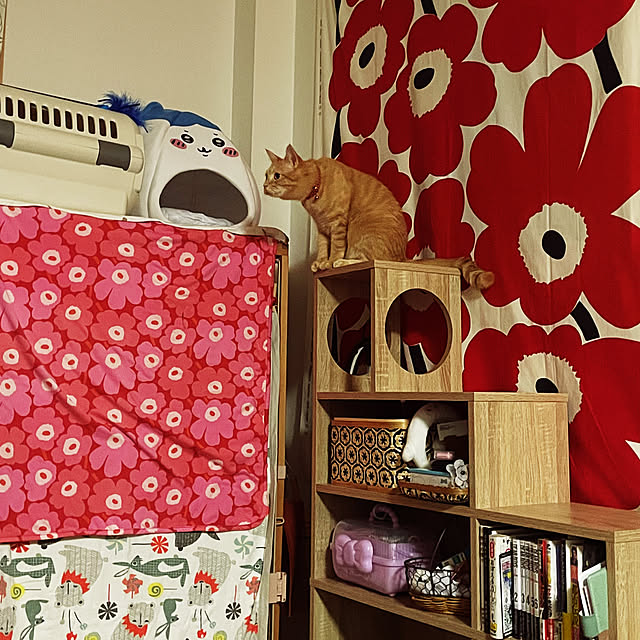 okogeさんの実例写真