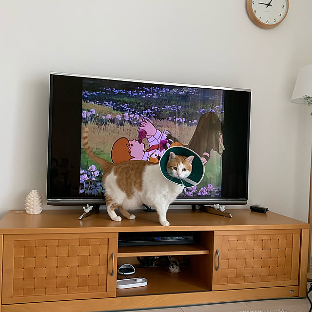 bikkeさんの実例写真