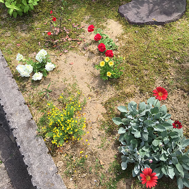 kakoさんの実例写真