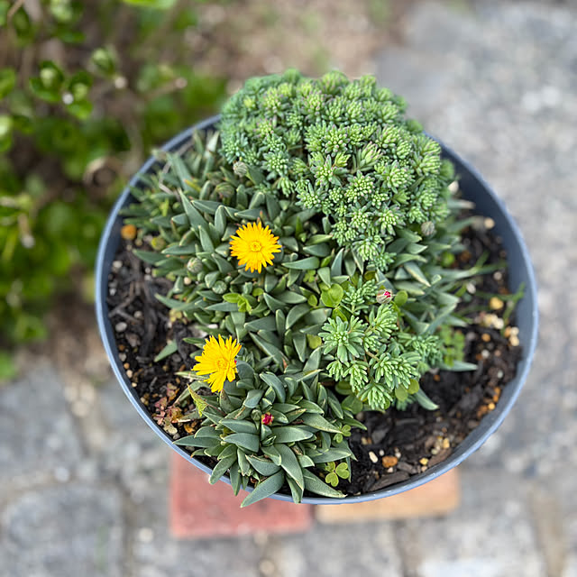 ritsukoさんの部屋