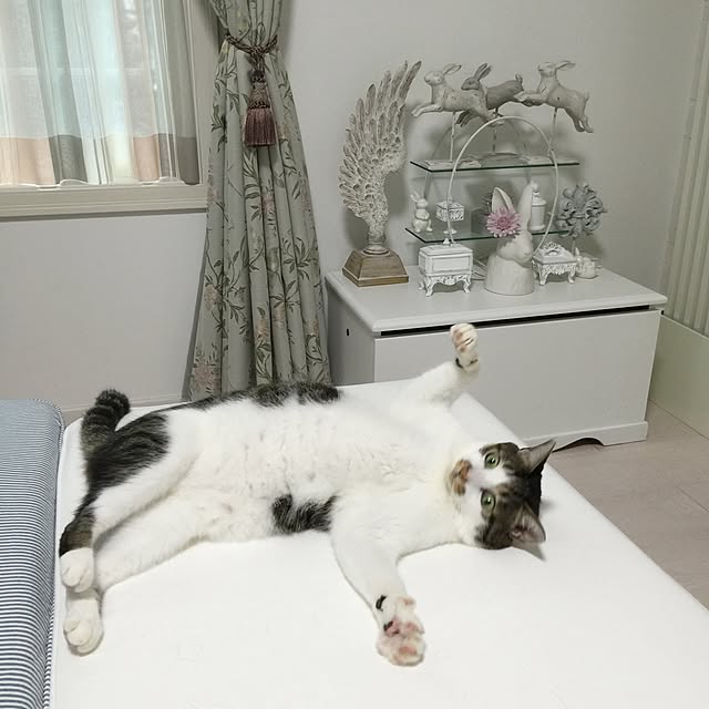 yuchiさんの実例写真