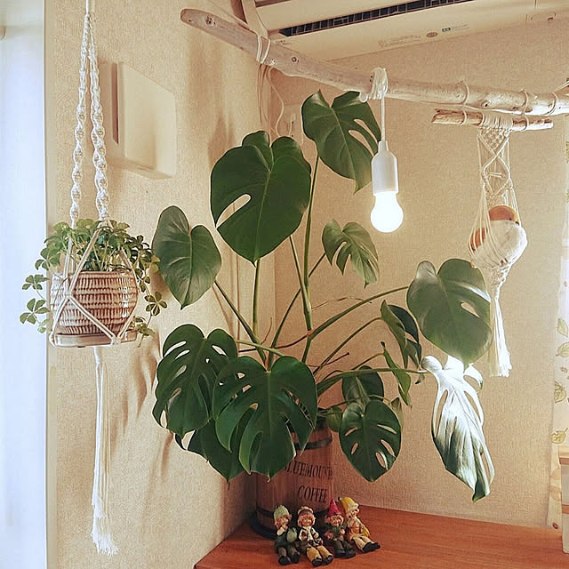 KOMARIN358さんの実例写真