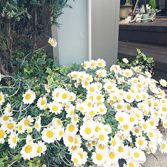 nscraftworksさんの実例写真