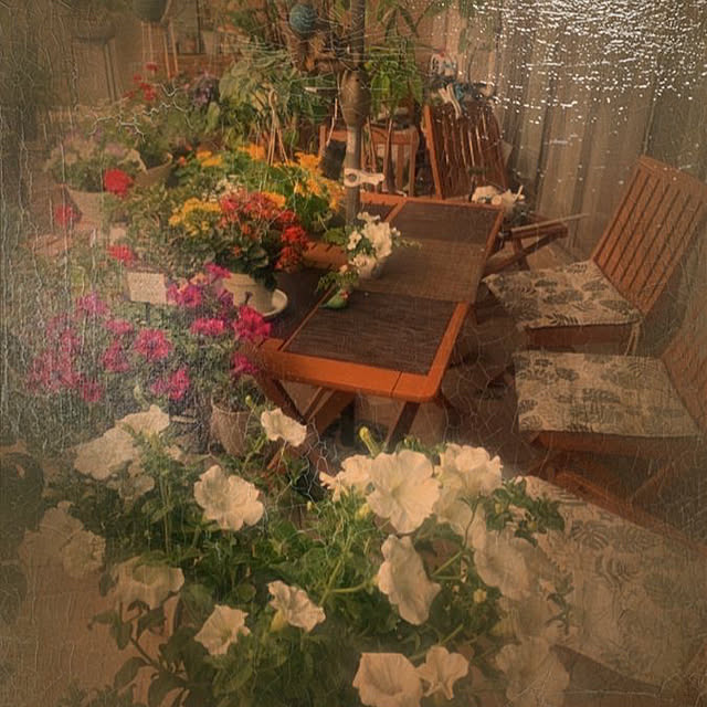 Aqettyさんの部屋