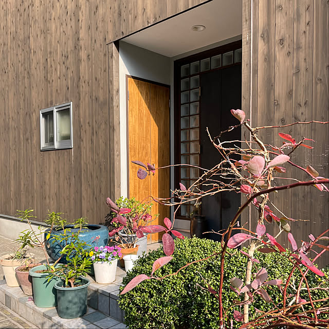 mutsuさんの部屋