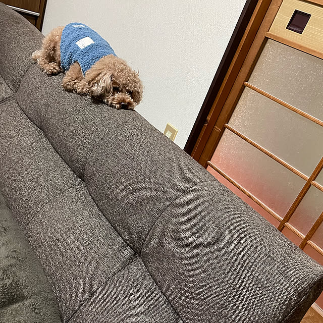 rorunさんの実例写真