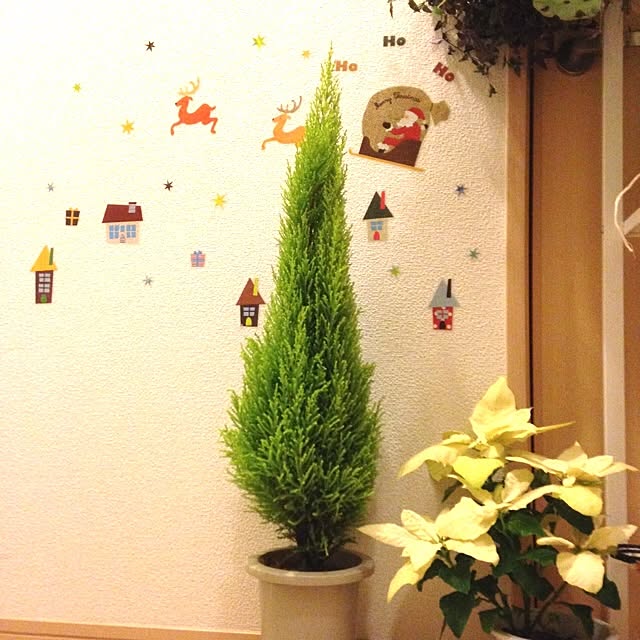 mikaさんの実例写真