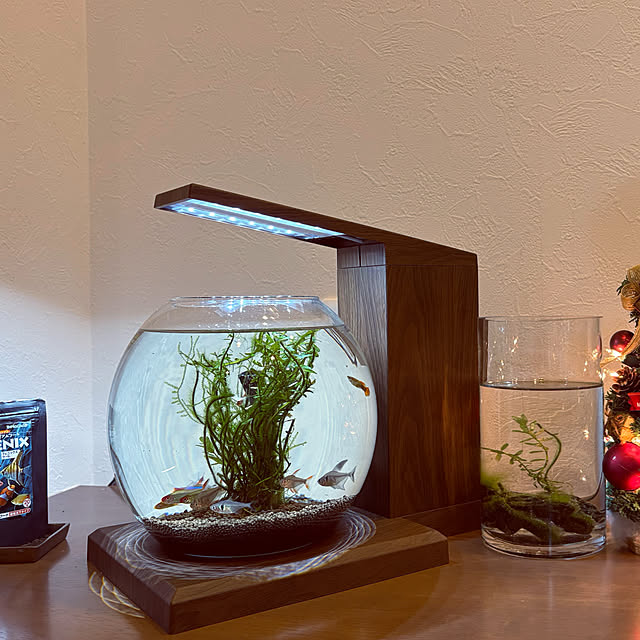 SS1978さんの部屋