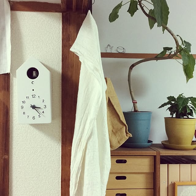 suzuppoさんの実例写真