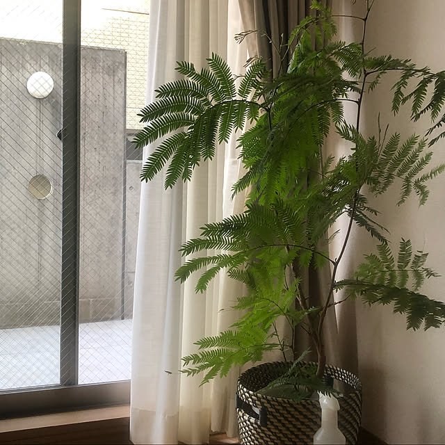 megさんの実例写真