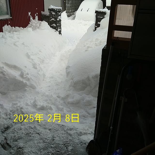 ameamekaasanさんの実例写真