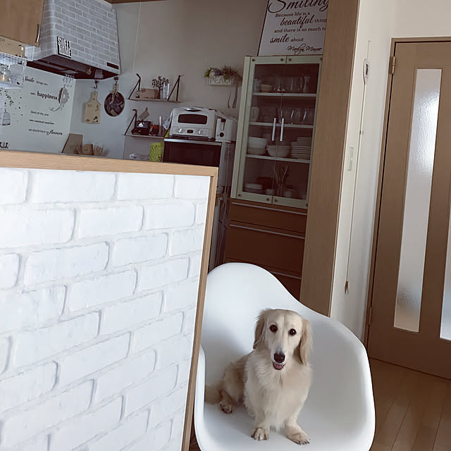 tmさんの実例写真