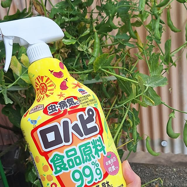 hanapanさんの実例写真