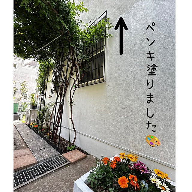 kittyさんの部屋
