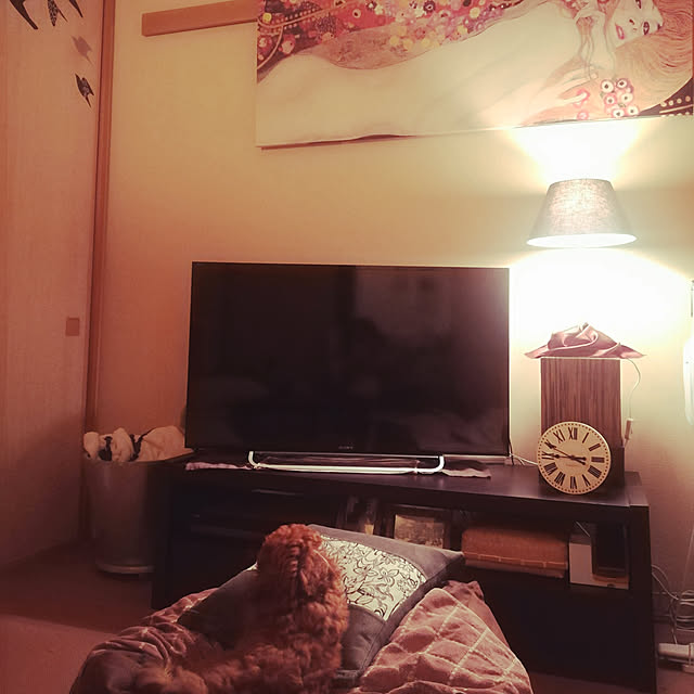 junjunさんの実例写真