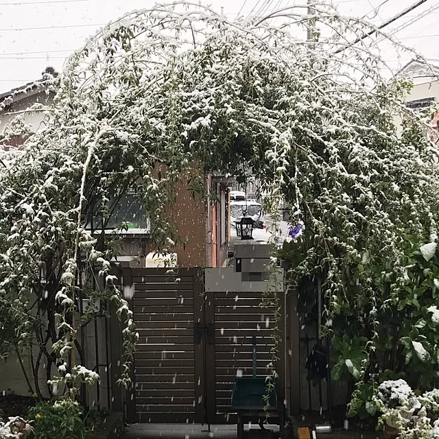 tomotomoさんの実例写真