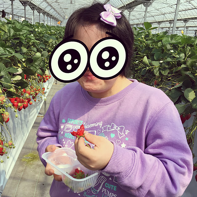 実例写真