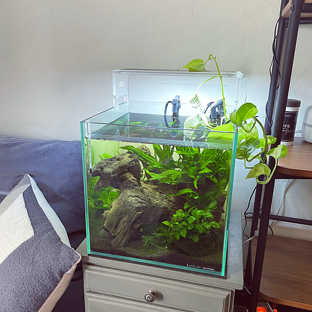 kuroさんの実例写真