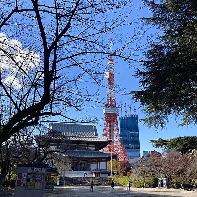 実例写真