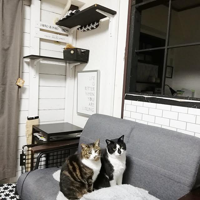 yuuさんの実例写真