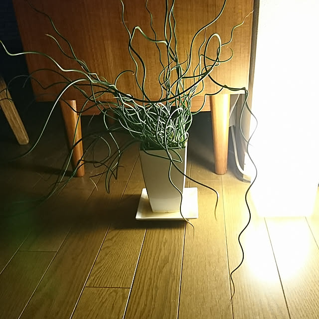 Matsu62さんの実例写真