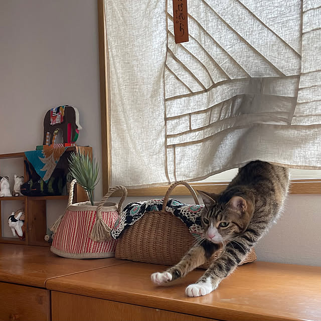 nobikoさんの実例写真