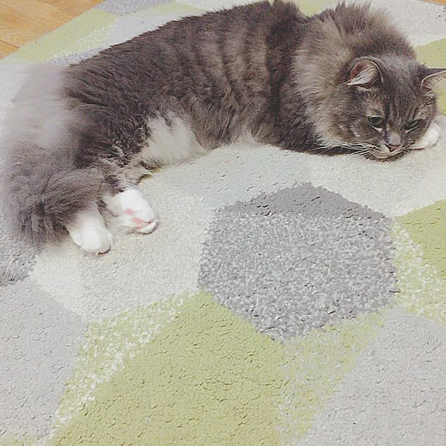 mii-tanさんの実例写真