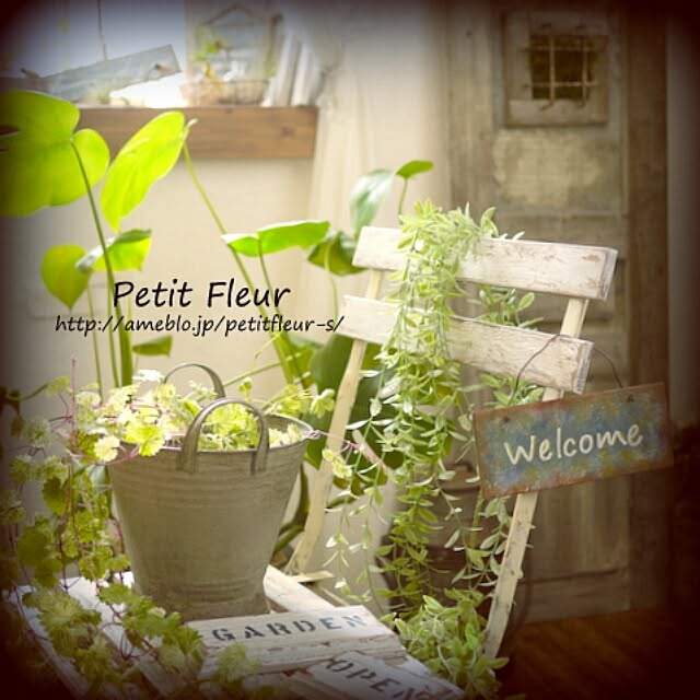 Petitさんの実例写真