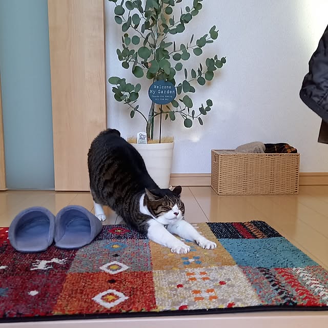 civicglさんの実例写真