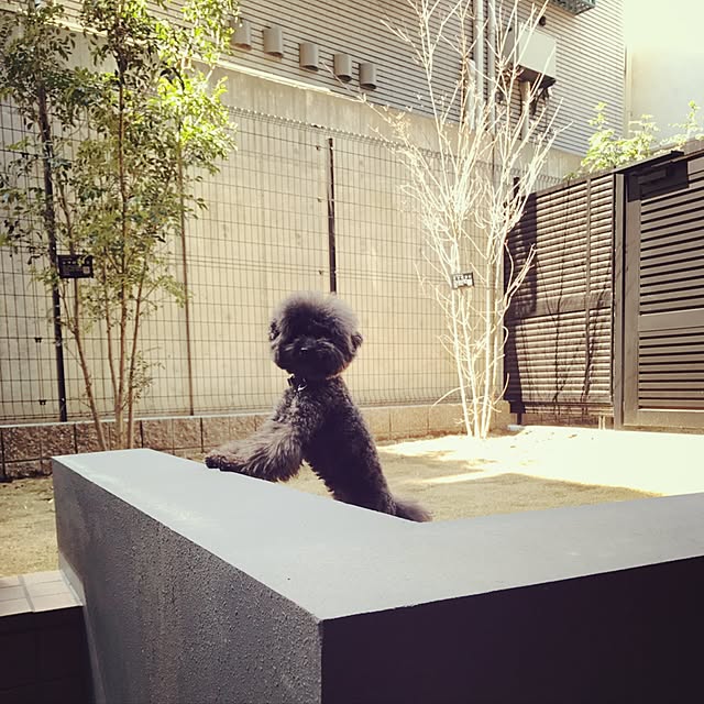 yucoさんの実例写真