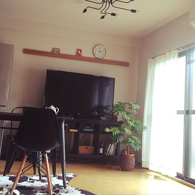 部屋全体/観葉植物のインテリア実例 - 2018-06-10 14:02:28