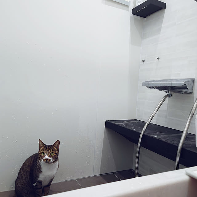 nachiさんの実例写真