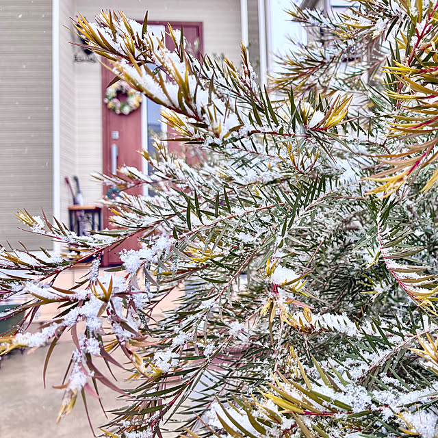 Junさんの実例写真