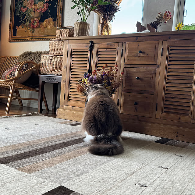 momoさんの部屋