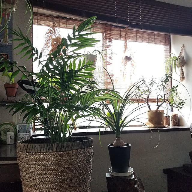 midoriさんの部屋