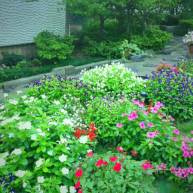 marrymisuzuさんの実例写真