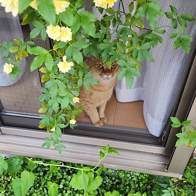 amtさんの実例写真