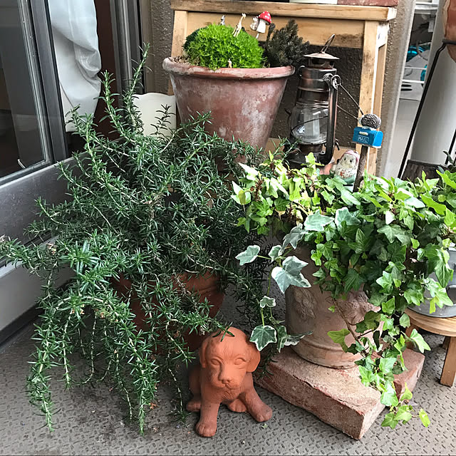 Norikoさんの実例写真