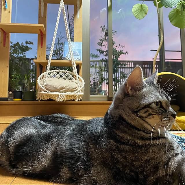 yuzuaoさんの実例写真