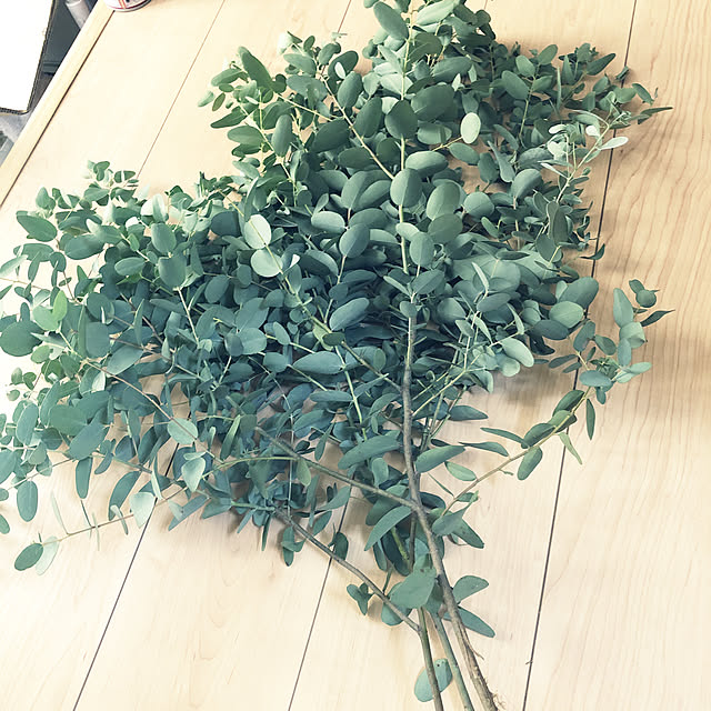Yuhmamaさんの実例写真