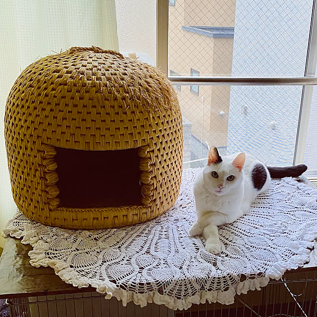 YUKAさんの実例写真