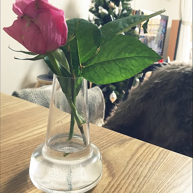 kokotaroさんの実例写真