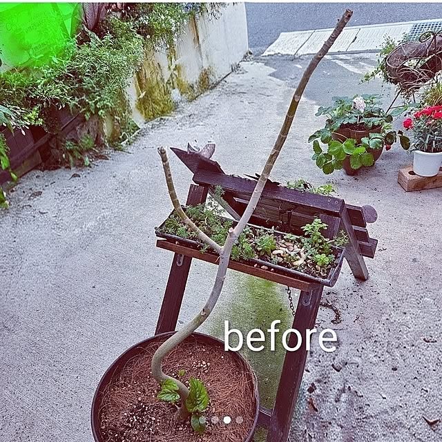 mocomocoさんの実例写真