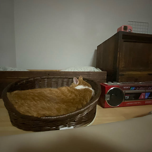 senbei.sakuramochiさんの実例写真