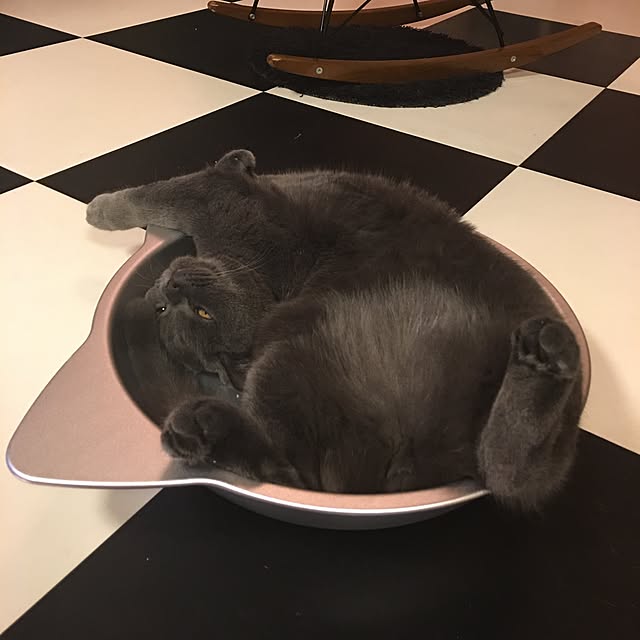 Shojiさんの実例写真