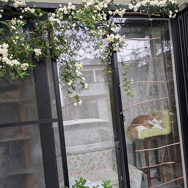 mori_6_12さんの部屋