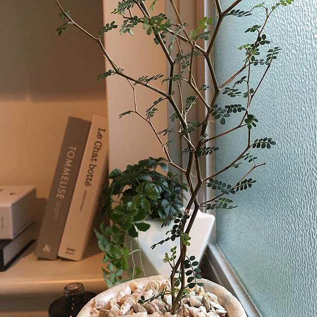Lyonさんの実例写真